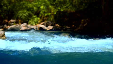 Blue mountain river on the background of green plants Stock-Footage 135404333