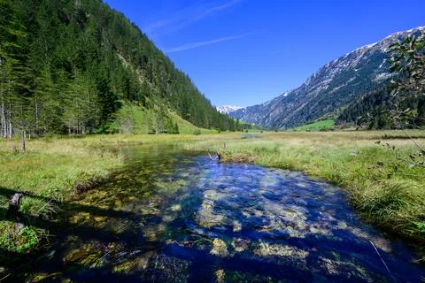 Blue Mountain River Stock Photos