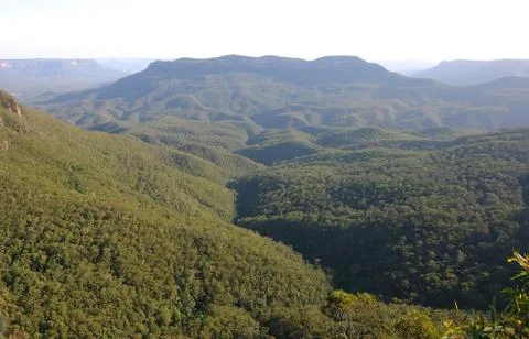 Blue mountains. australia. Foto stock