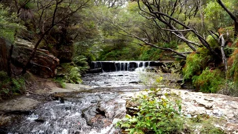 Blue Mountains Australia stream with waterfall Stock Footage 122620983