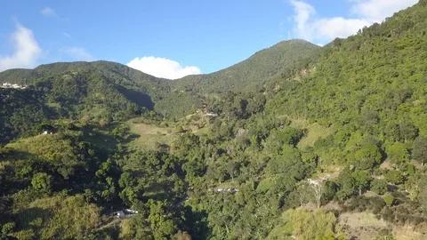 Blue Mountains, Jamaica [Drone approach] Stock Footage