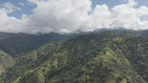 Blue mountains Kingston Video stock 335426493