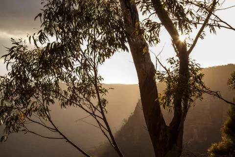 Blue Mountains Sunset Stock Photos