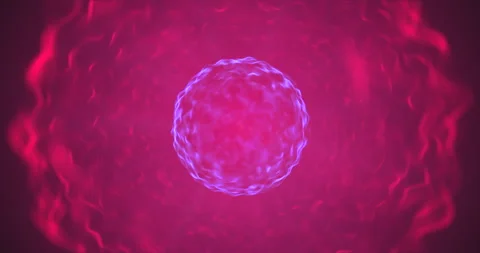A blue movable ball inside a purple sphere Stock Footage 241497052