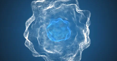 A blue mutating ball inside a sphere of white matter on a blue background Stock Footage 241497329