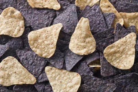 Blue nachos and tortilla chips Stock Photos