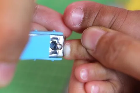 Blue Nail clipper. Stock Photos