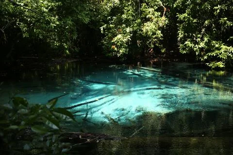 Blue natural pool Stock Photos