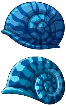 Blue Nautilus Shell Vector Illustration Illustrazione stock