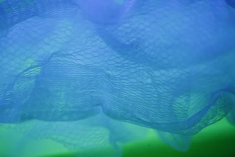 Blue net. Stock Photos