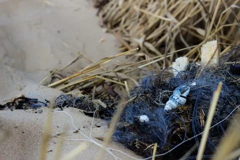 Blue nets on the beach with a shell Stock Photos
