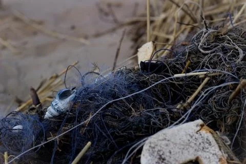 Blue network on the beach with a cane, a shell and a polystyrene Stock Photos