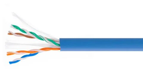 Blue network cable, cross-section. cable construction. Ethernet cabel isolate Stock Photos