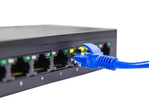 The blue network cables to connect Lan port Stock-Fotos