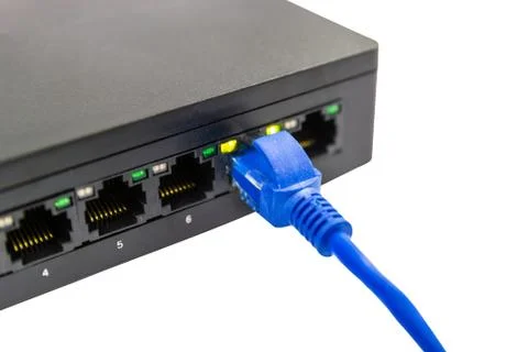 The blue network cables to connect Lan port Photos
