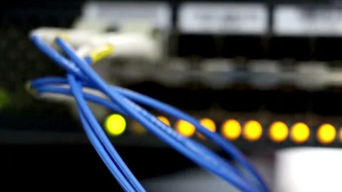 Blue network cables connected to server with blinking lights Video stock 333815315