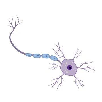 Blue neuron cell. Brain activity and dendrites. Stock Illustration