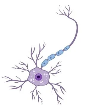 Blue neuron cell. Brain activity and dendrites. Scientific cartoon illustrati Stock Illustration
