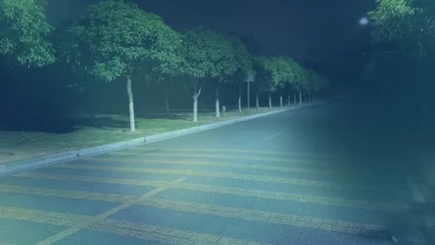 Blue Night Crosswalk On Empty Suburban Street With Trees And Soft Lighting Stock Footage 329464225