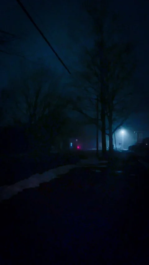 Blue night Stock Footage 279522132