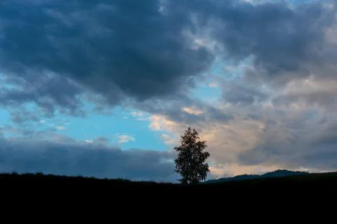 Blue night with moon Stock Photos