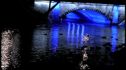 Blue Night1080 Stock Footage 10592813