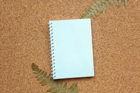 Blue notebook on a spring on a cork background with a dried fern Foto stock