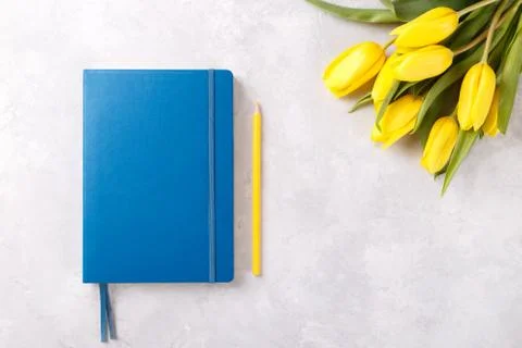 Blue notepad and tulips Stock Photos