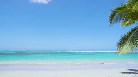 Blue ocean and white sand beach on tropical palms Island. Stock Footage 151491037