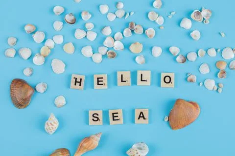 Blue ocean background with sea shells on it 스톡 사진