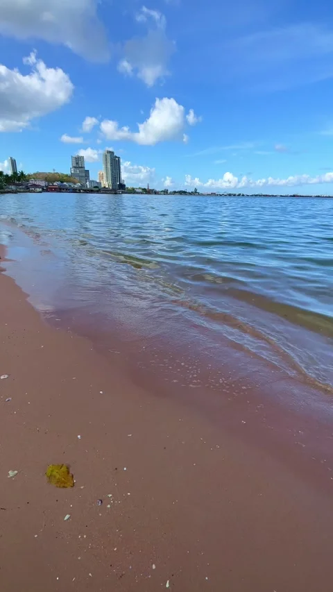 Blue Ocean Beach Summer Sky Tropical Nature Video stock 335332868