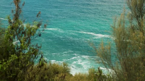 Blue ocean below trees Stock Footage 274345224