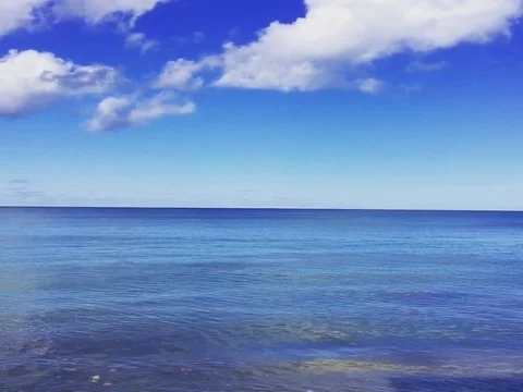 Blue Ocean Video stock 81548997