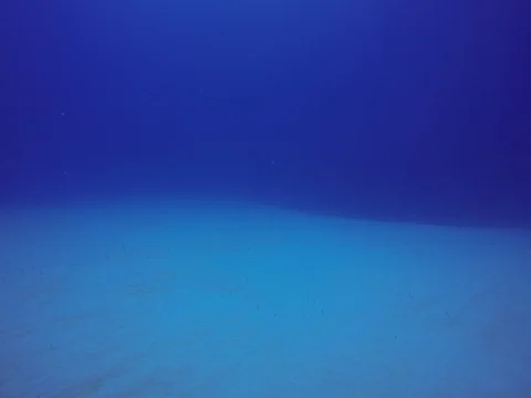 Blue Ocean Stock Footage 101451080