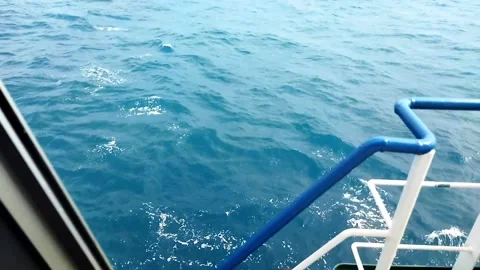 Blue ocean 動画素材 167862363