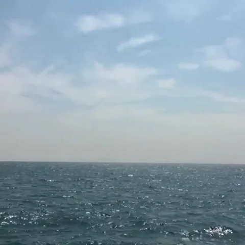 Blue ocean Stock Footage 220272035