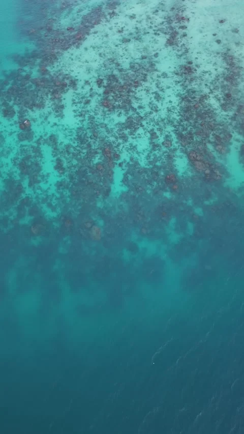 Blue Ocean Stock Footage 345011807