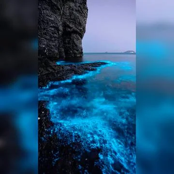 Blue ocean Stock Photos