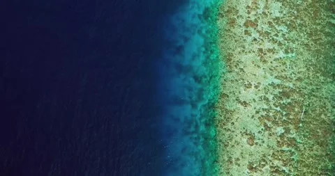 Blue Ocean Reef Split Aerial Top View Texture Background Stock Footage 335647085