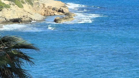 Blue Ocean - Relaxing Waves with Cliffs and Palm Tree Video stock 102305266