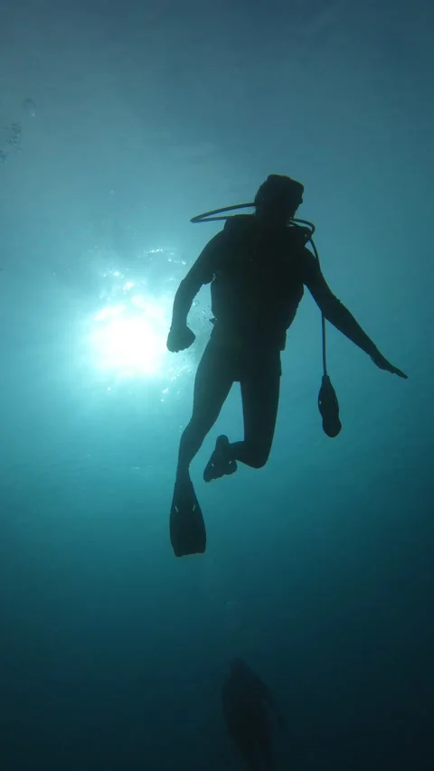 Blue ocean scuba diver  vertical footage 库存影片 221417946