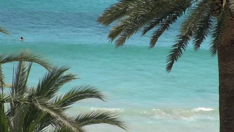 Blue ocean surf framed by palm trees Stock Footage 74062469