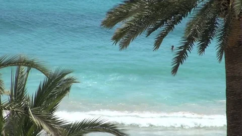 Blue ocean surf framed by palm trees Stock Footage 74062485