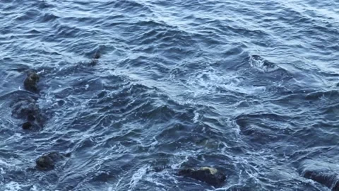 Blue Ocean Surface with Gentle Waves and Natural Water Texture Background 스톡 동영상 331403704