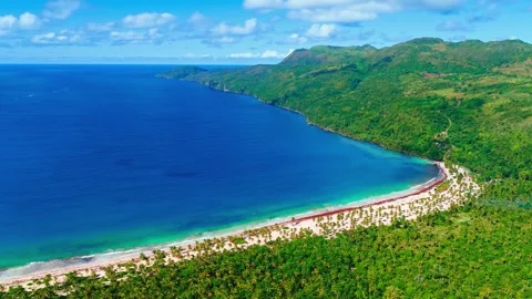 Blue ocean surface at sandy natural tropical beach with lush green palm trees. Stock Footage 296833031