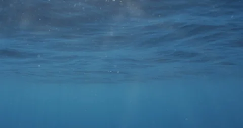 Blue ocean surface with shining sunbeams seen from underwater Video stock 109342408