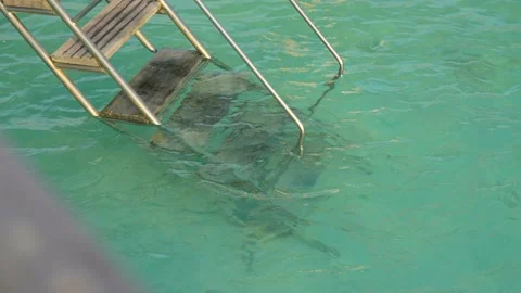 Blue ocean with turquoise water in cloudy weather. Stairs goes to the water. Video stock 201064242