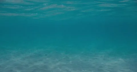 Blue ocean water background underwater in Hawaii Stock Footage 247439233