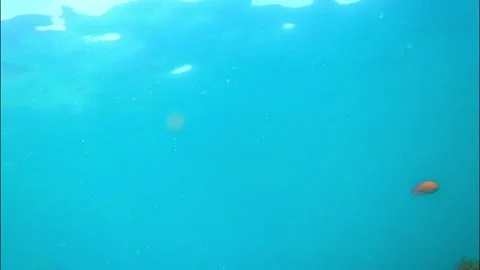Blue ocean water view Stock Footage 175474056