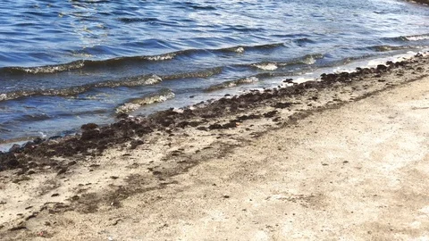Blue Ocean Wave Gently Touching White Sand At Rocky Coastline. Stock-Footage 107461685